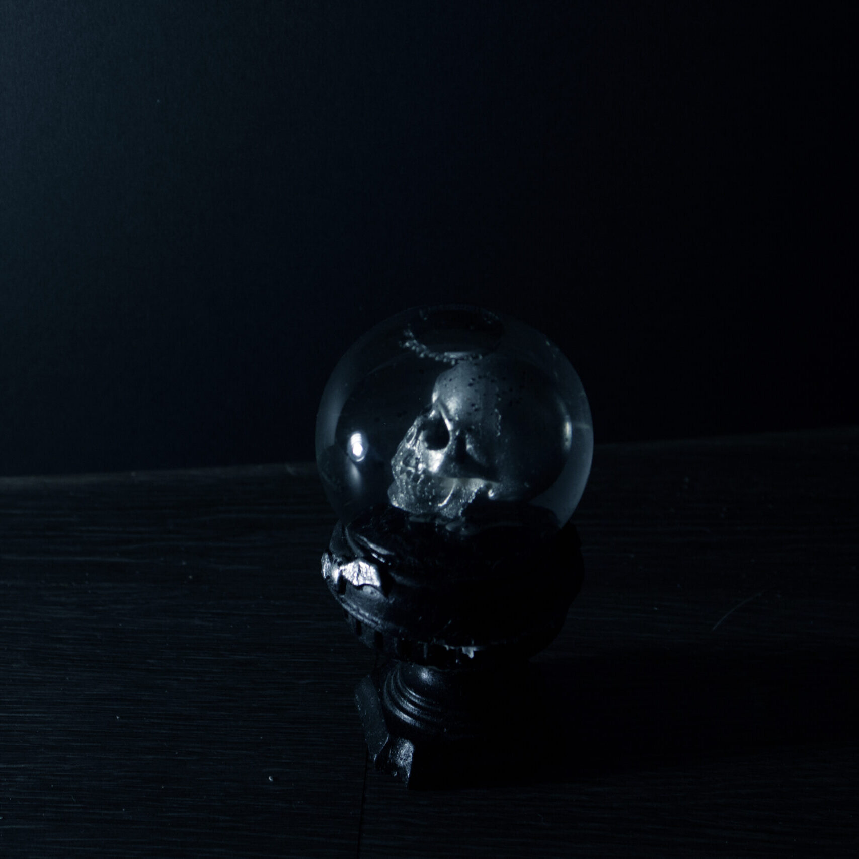 SkullinSnowglobe